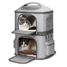 Cat backpack for 2 cats (or lots of kittens)