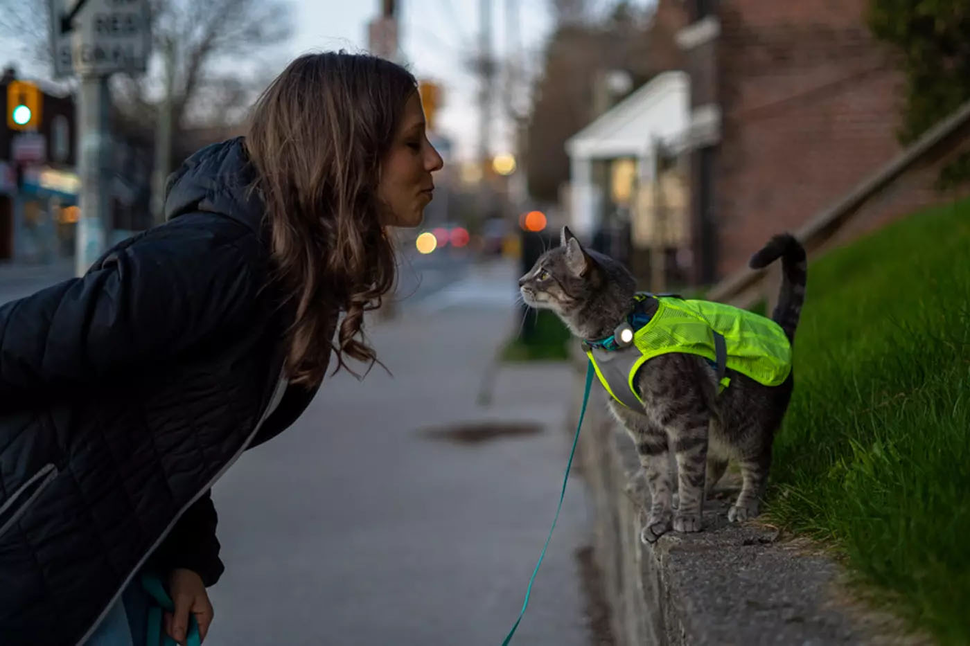 Happy clients traveling with a cat