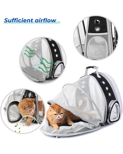 Cat bubble backpack - expandable version