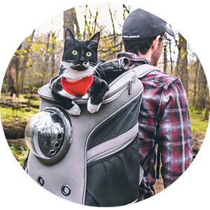 Cat enjoy going for walks in cat backpack