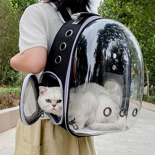 Cat bubble backpack